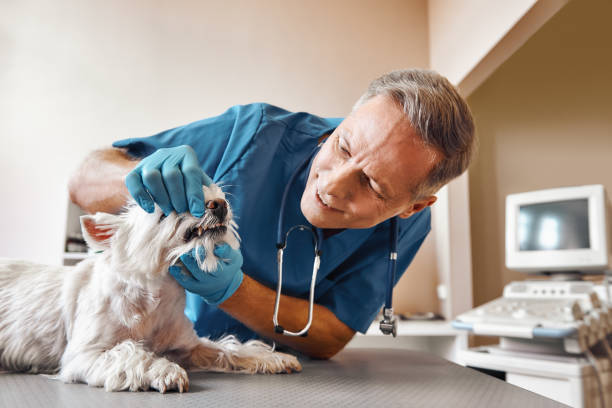 Best Emergency Dental Extractions in Tappahannock, VA